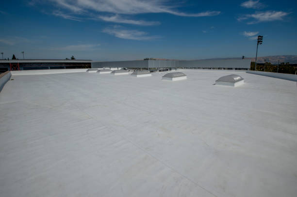  Wyong, MI Roofing Service Pros