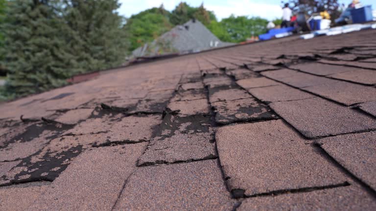 Best Cold Roofs  in Wyong, MI