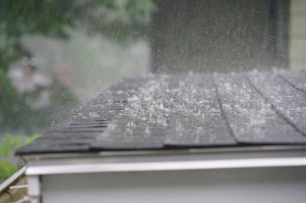 Best Emergency Roof Repair Services  in Wyong, MI